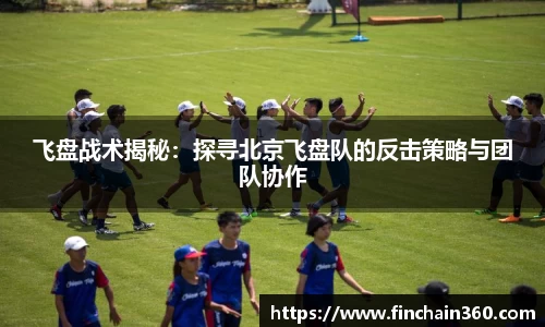 飞盘战术揭秘：探寻北京飞盘队的反击策略与团队协作